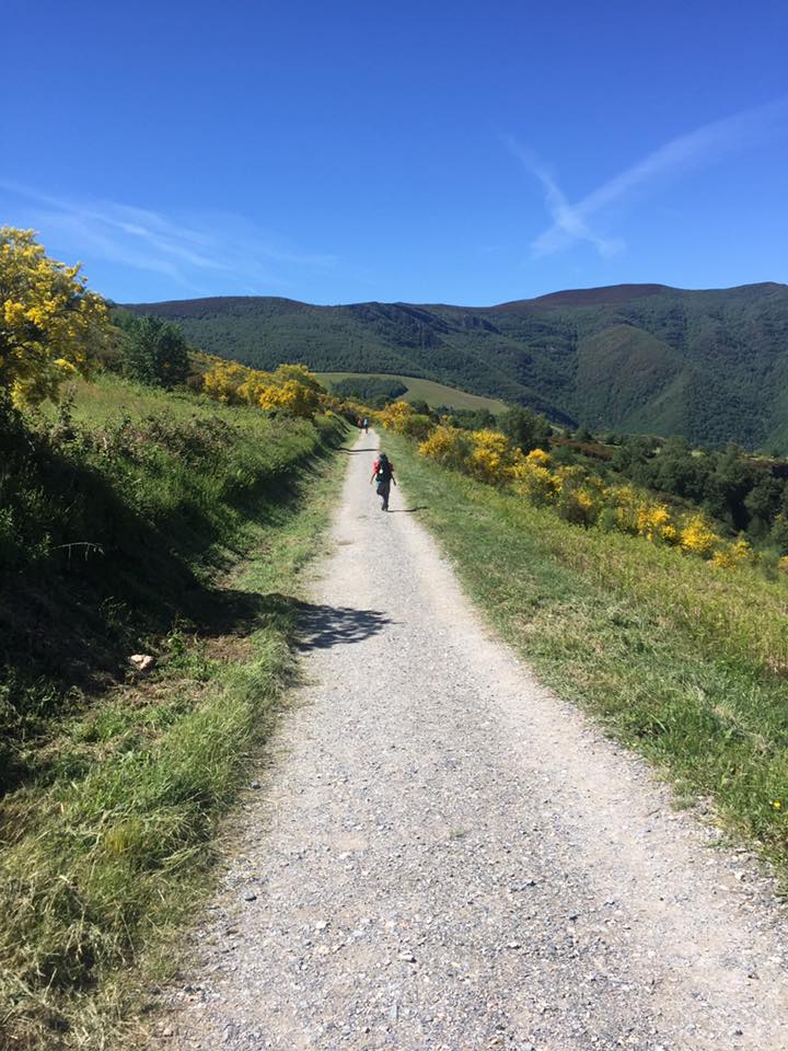 18814148_10102729892904587_2147863826221091725_n